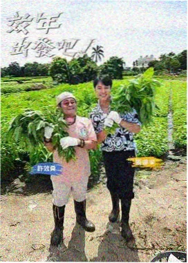 向往的生活·森林篇 策驰影视慢综艺